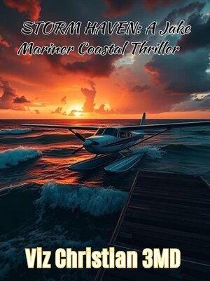 cover image of STORM HAVEN